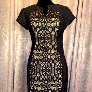 Dress Barn Collection Bodycon Dress